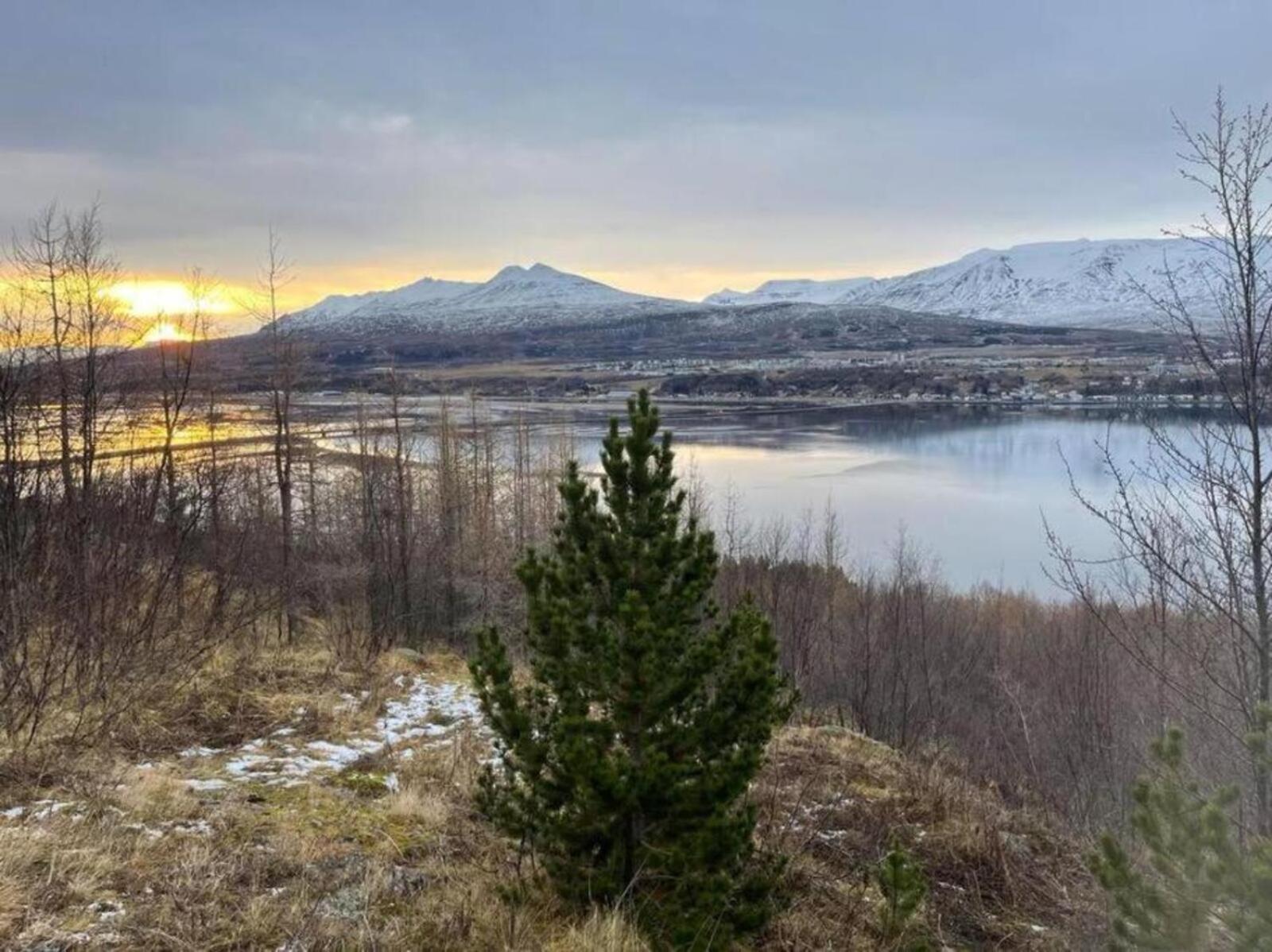 Cozy 2 Bedroom With Hot Tub Akureyri